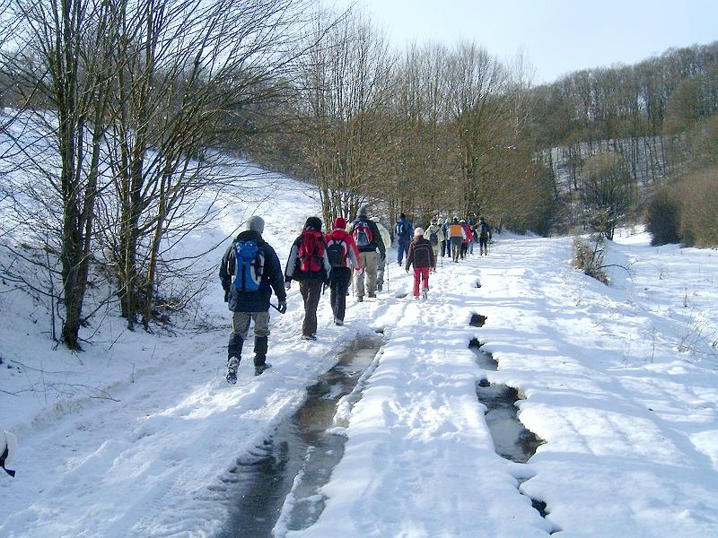 20110122 041.jpg
